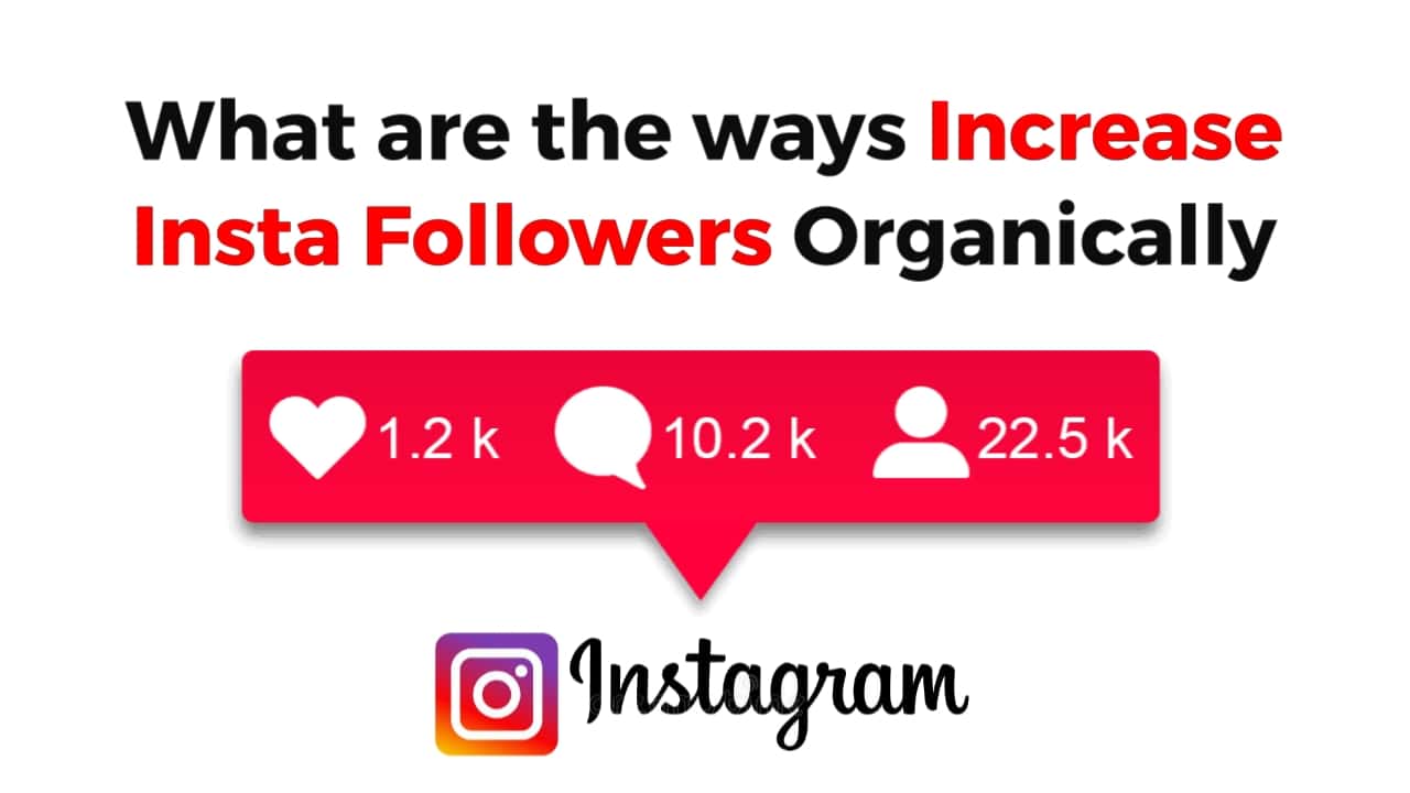 What are the ways to increase instagram followers organically